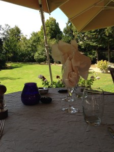 fec543_66ee1707f73141fa863931c8a968a817